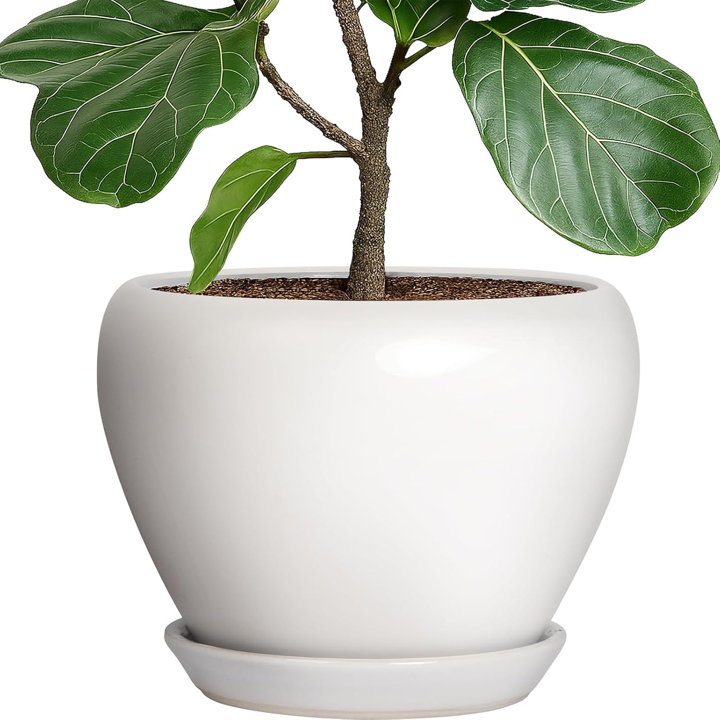 Deep Dream 6 Inch Plant Pots- Ceramic Planter Pot with Drainage Hole and Saucer, Round Flower Pot for Indoor Outdoor Succulent, Snake Plants and Cactus, Blue