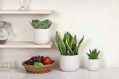 Docrin 3-Pack Ceramic Planters Set - 6.5"+5.3"+4" Dual-Tone Flower Pots with Drainage Holes, Modern Indoor Outdoor Planters for Succulents/Herbs/Large Plants, Home Office (Brownish Black & White)