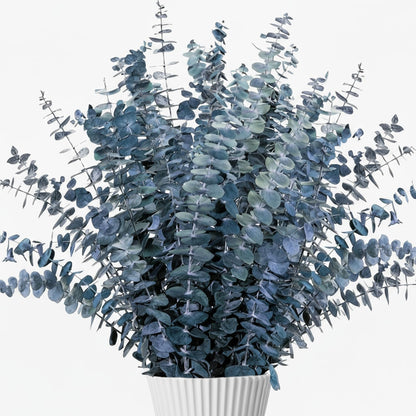 Preserved-Dried-Eucalyptus-Stems,16-17" Natural Blue-Green Eucalyptu Plant Live Fresh, Real Eucalyptus Branches Leaves for Shower Spa, Blue Dried Flowers for Vase Fillers, Home Decor & Wedding (16Pcs)