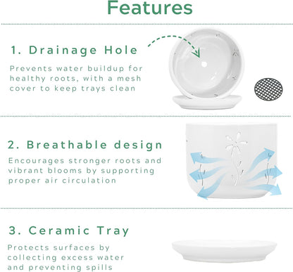 2 Pack, 5 + 6 Inch White Orchid Pots with Holes and Saucer, Ceramic Orchid Planters for Repotting with Drainage Holes and Tray, Plant Flower Pot containers for Orchid Indoor Outdoor