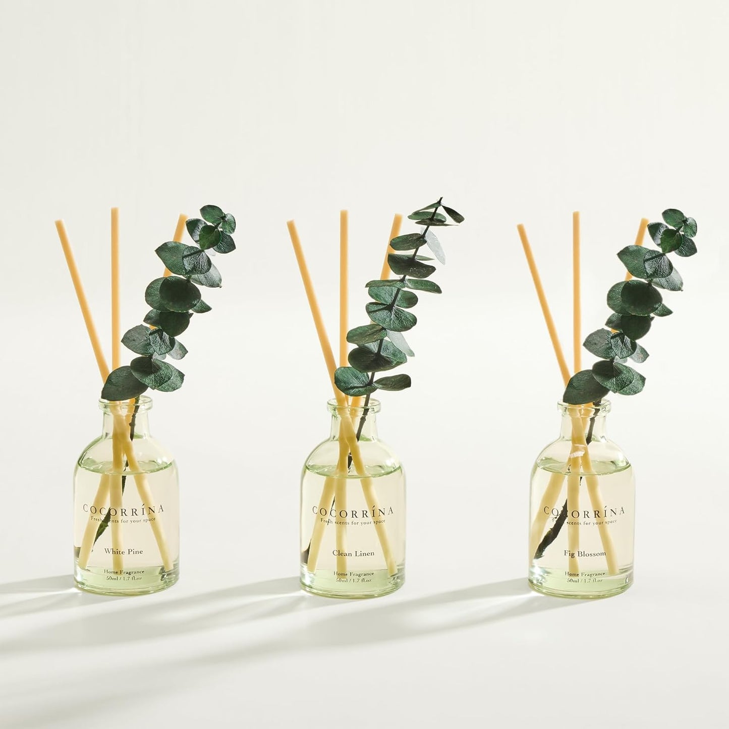 COCORRÍNA Eucalyptus Reed Diffuser Set of 3 - Lavender Eucalyptus, Black Forest, Clean Cotton Scents, 1.7 fl oz Each, Total 5.1 oz, Scented Oil Diffusers for Home & Office﻿