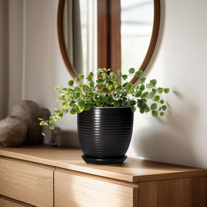 Ceramic Pots for Plants - 6 Inch Plant Pot with Drainage Hole and Saucer, Round Planters for Indoor Outdoor, Flower Pots, Modern Planter, Home Office Room Decor, Gifts for Plant Lovers, White