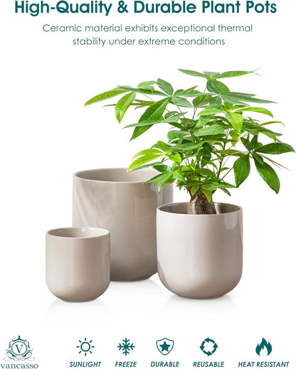 vancasso Ceramic Plant Pots, 4+5+6 inches, Set of 3, Planters with Drainage Hole, Flower Pots Planters Pots for Indoor Plants, Modern Indoor Decorative Garden Pot, Home Decor, White
