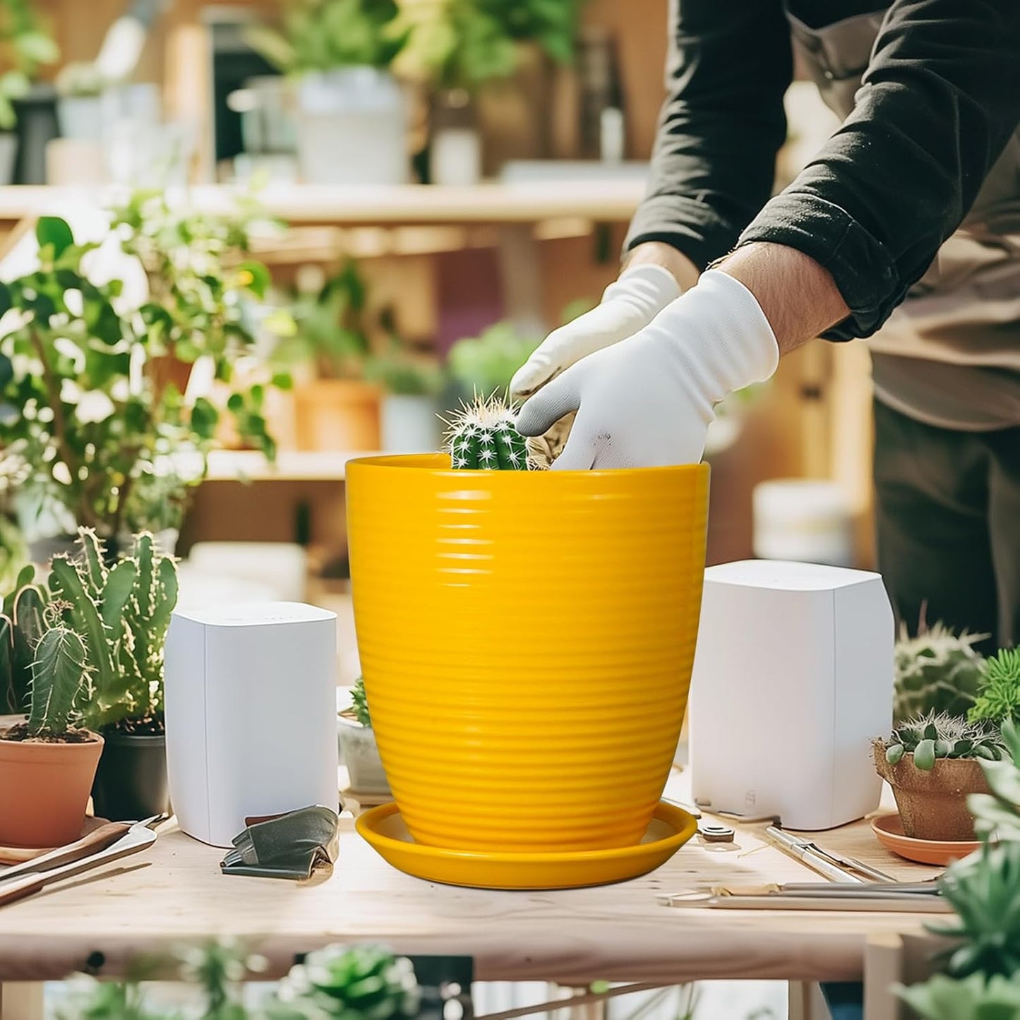 Ceramic Pots for Plants - 6 Inch Plant Pot with Drainage Hole and Saucer, Round Planters for Indoor Outdoor, Flower Pots, Modern Planter, Home Office Room Decor, Gifts for Plant Lovers, White