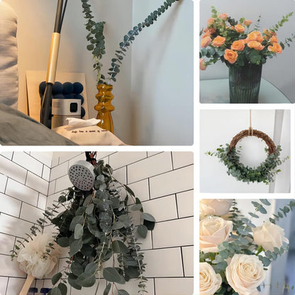 30 Pcs Dried Preserved Eucalyptus Stems Shower Bundle, 9oz 17" 100% Natural Fresh Eucalyptus Plant, Real Eucalyptus Leaves Branches for Shower Vase Filler, Dried Flowers Arrangement Home Decor
