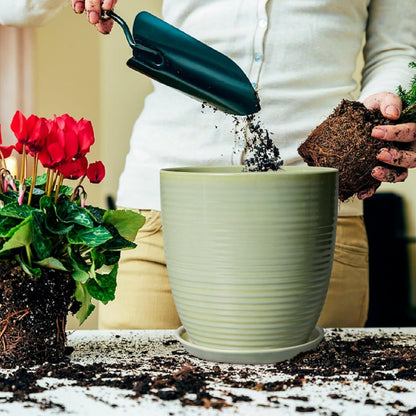 Ceramic Pots for Plants - 6 Inch Plant Pot with Drainage Hole and Saucer, Round Planters for Indoor Outdoor, Flower Pots, Modern Planter, Home Office Room Decor, Gifts for Plant Lovers, White