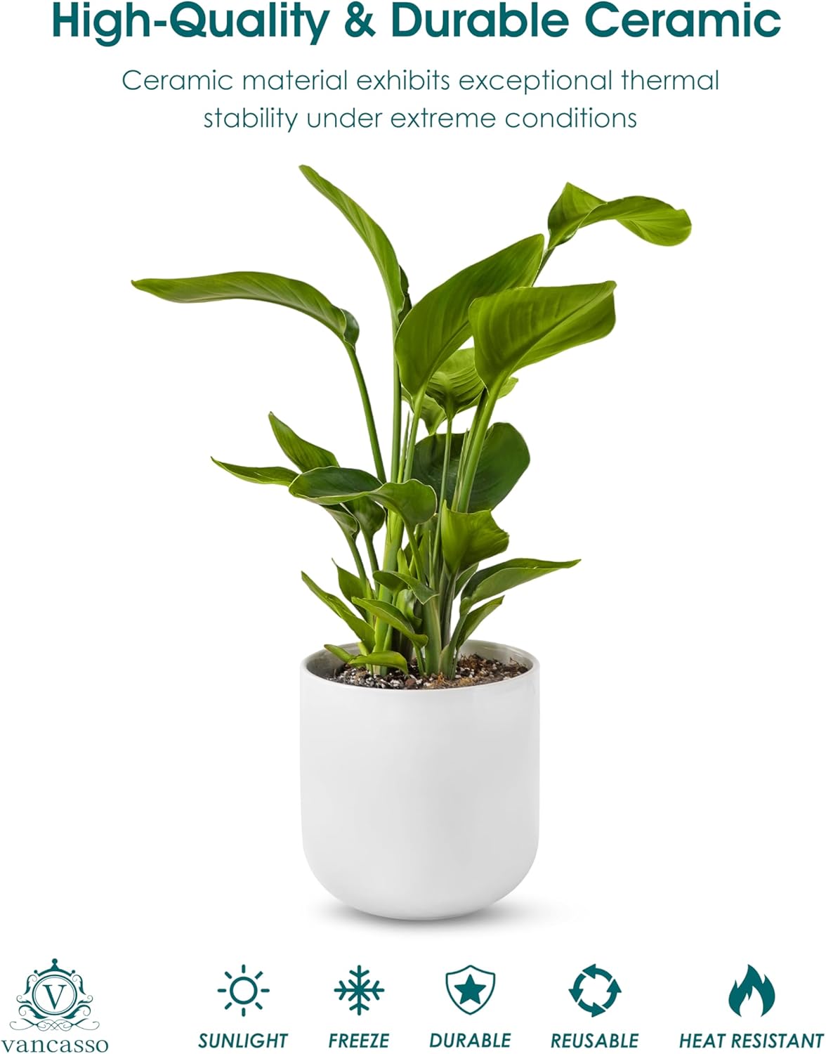 vancasso Ceramic Plant Pots, 4+5+6 inches, Set of 3, Planters with Drainage Hole, Flower Pots Planters Pots for Indoor Plants, Modern Indoor Decorative Garden Pot, Home Decor, White
