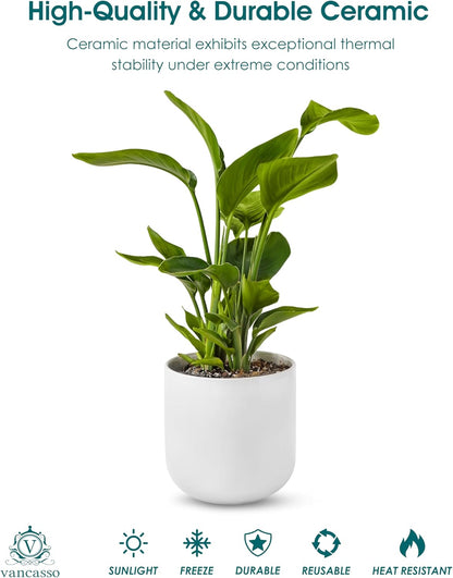 vancasso Ceramic Plant Pots, 4+5+6 inches, Set of 3, Planters with Drainage Hole, Flower Pots Planters Pots for Indoor Plants, Modern Indoor Decorative Garden Pot, Home Decor, White