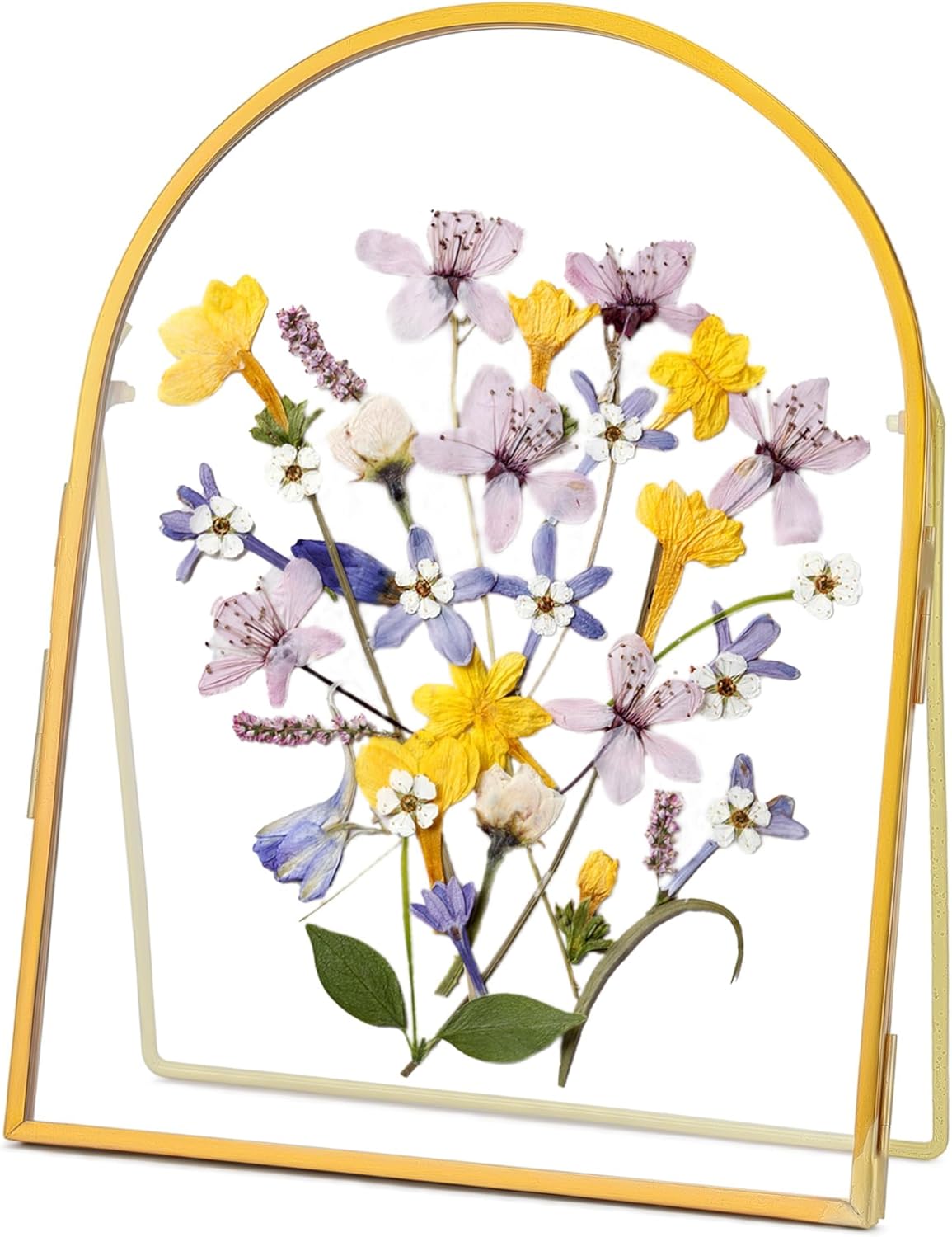 REDHUGO Double Glass Frame for Pressed Flowers Handmade, Metal Floating Picture Frame for Pressed Flower, Tabletop Display, Brass, ArcShaped, Black, 4x6 inches (FRAME ONLY)