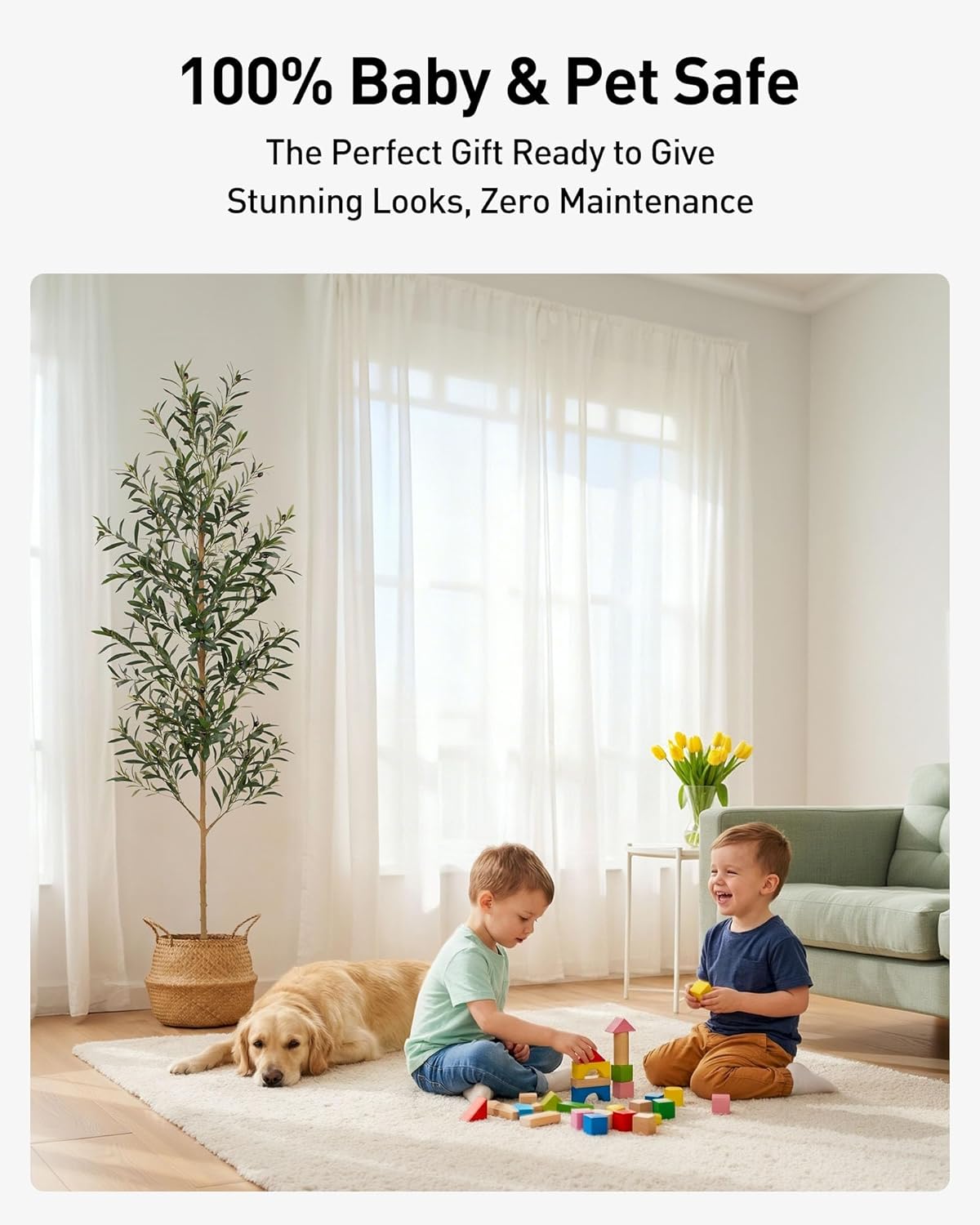 FLOWORLD 6FT Olive Trees Artificial Indoor, Tall Faux Olive Tree 6FT (72in) with Natural Wood Trunk & Realistic Olives, Stable Base, Pet Friendly Artificial Plant for Home Office, Living Room, Outdoor
