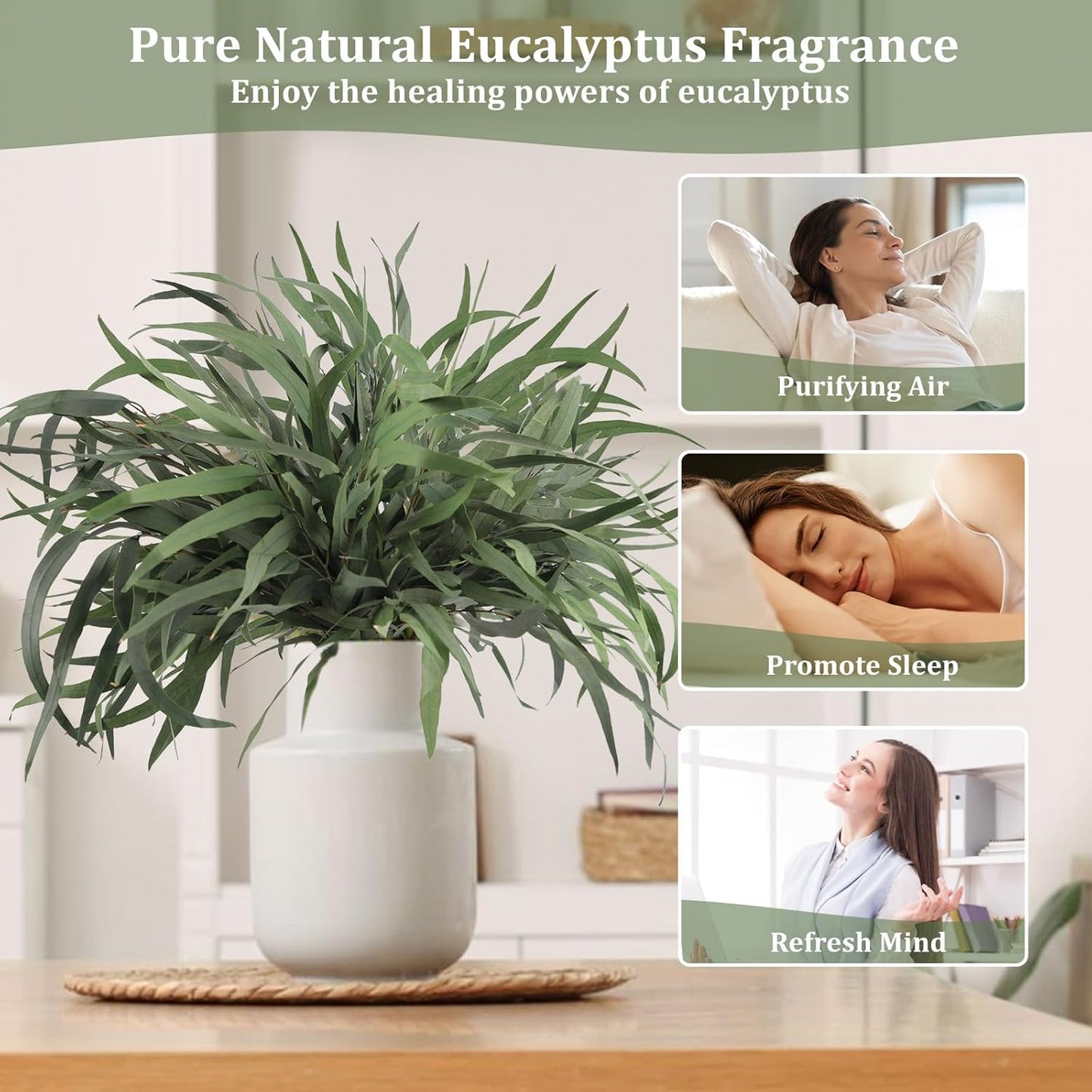 Real Eucalyptus Stems 20PCS Dried Preserved Fresh Eucalyptus Silver Dollar Leaves for Shower - Greenery Branches for Wedding Home Party Vase Filler Spring Decor