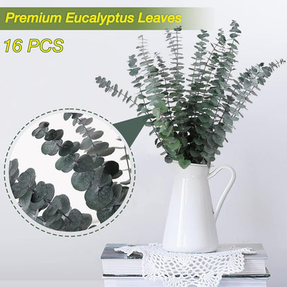30 Pcs Dried Preserved Eucalyptus Stems Shower Bundle, 9oz 17" 100% Natural Fresh Eucalyptus Plant, Real Eucalyptus Leaves Branches for Shower Vase Filler, Dried Flowers Arrangement Home Decor
