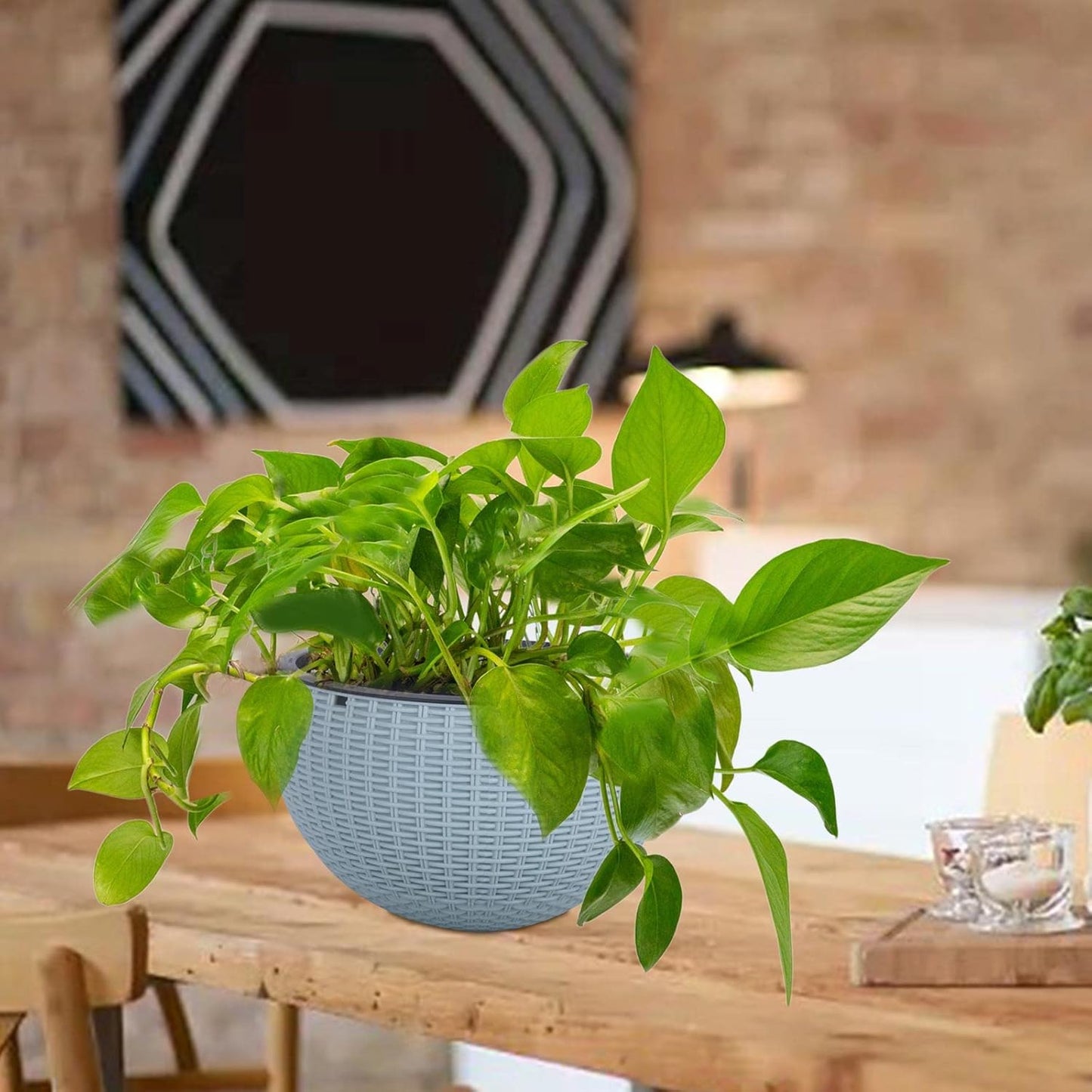 Vencer 11 Inch Round Resin Rattan Hanging Planters,Self Watering Hanging Basket for Indoor Outdoor Plants,Hanging Flower Pots with Drain Hole and Metal Chain,Water Indicator,Coffee,VF-A15-C