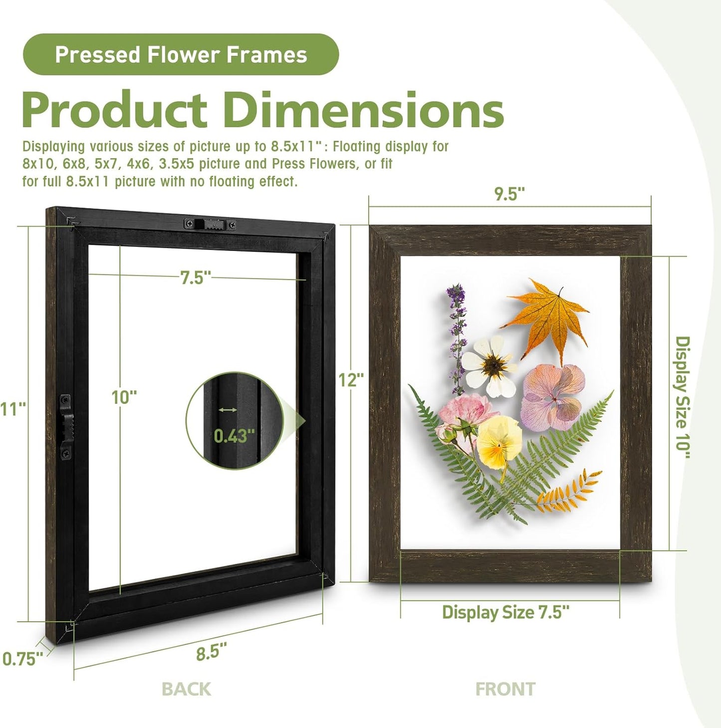 Golden State Art, 11X14 Floating Picture Frame, Black Wood Frame Display Any Size Photo Up To 11X14, Pressed Flower Frames with Hanging Hardware - Horizontal And Vertical Formats for Wall