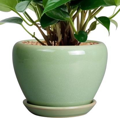 Ceramic Modern Glaze Succulent Planter Pot with Drainage Hole and Saucer 6 Inch Round Flower Plant Pot for Indoor Outdoor Herb Snake Plants