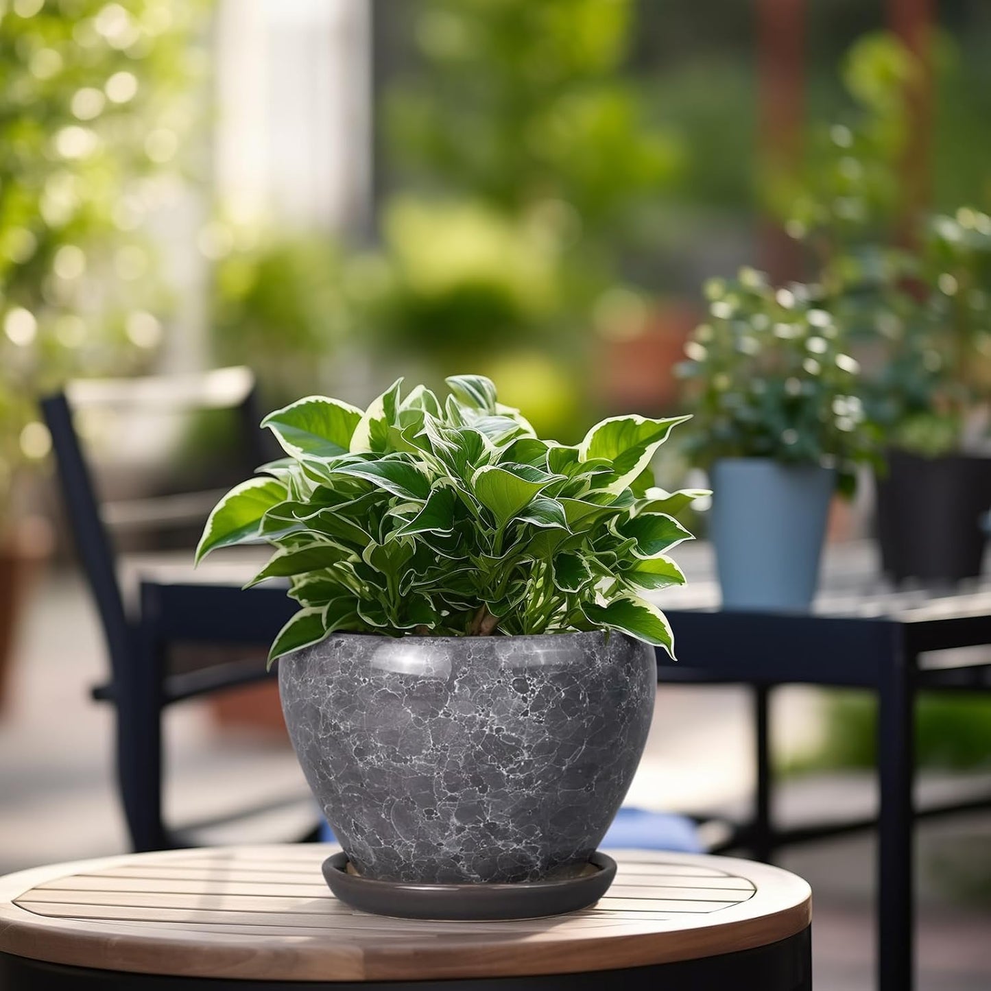 Ceramic Modern Glaze Succulent Planter Pot with Drainage Hole and Saucer 6 Inch Round Flower Plant Pot for Indoor Outdoor Herb Snake Plants