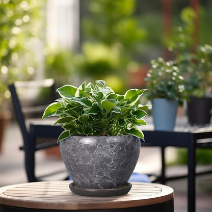 Ceramic Modern Glaze Succulent Planter Pot with Drainage Hole and Saucer 6 Inch Round Flower Plant Pot for Indoor Outdoor Herb Snake Plants