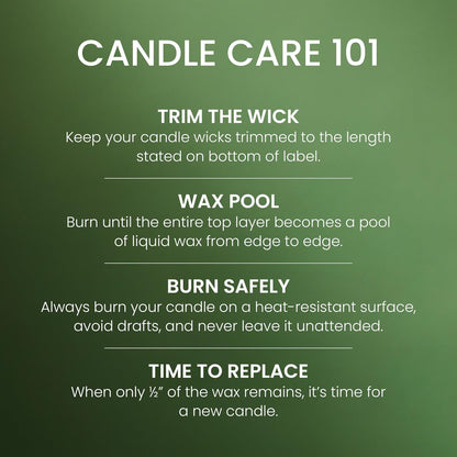 Yankee Candle Balsam & Cedar, Scented Candle, 22oz Large Jar with up to 150 Hour Burn Time, Giftable