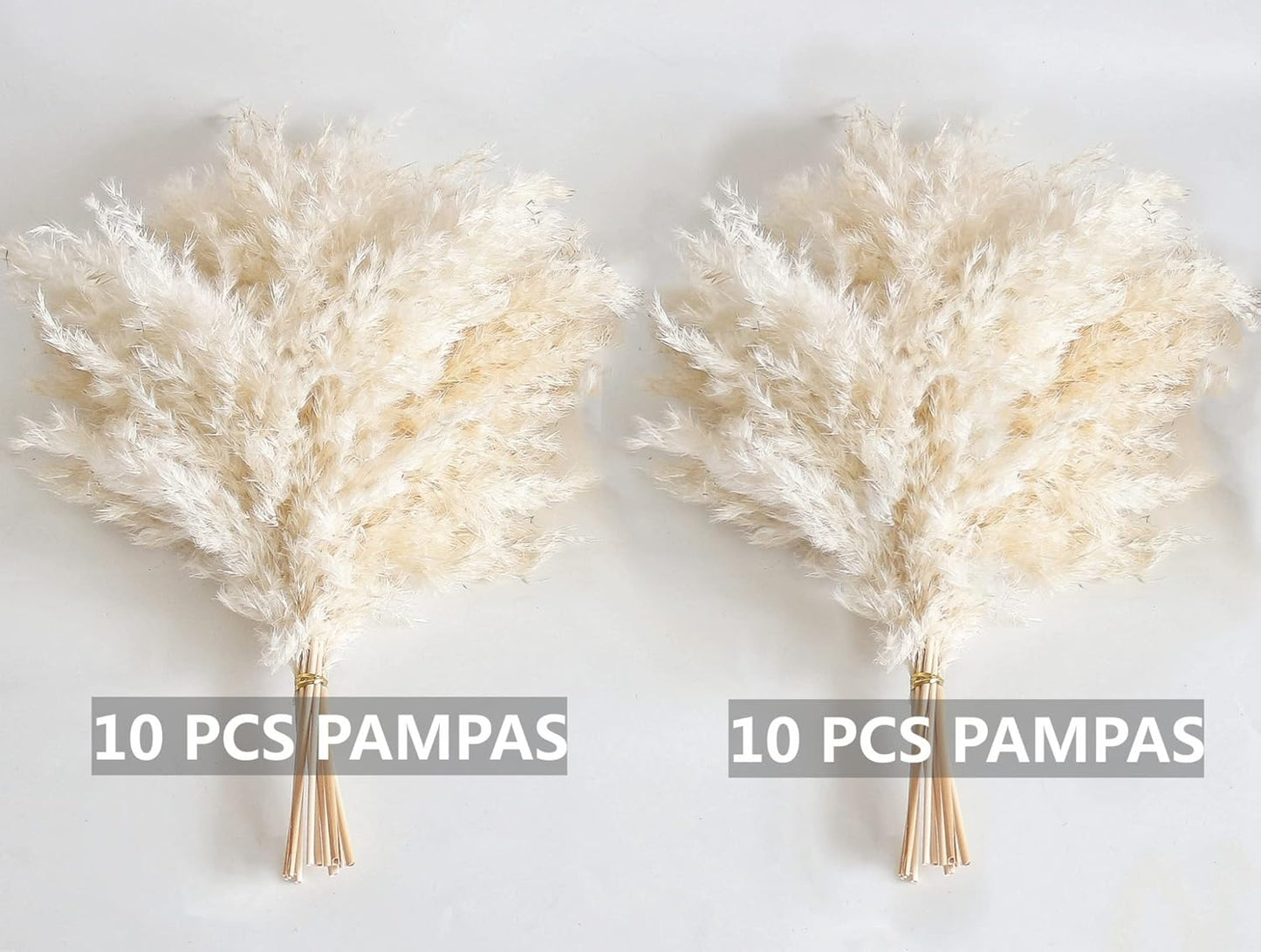 Pampas Grass Decor, Natural Dry Pampas Grass Small, Short Pampass Bulk for Farmhouse, Wall, Kitchen, Bedroom Decor, Office Decor (17 inch )