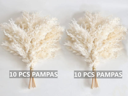 Pampas Grass Decor, Natural Dry Pampas Grass Small, Short Pampass Bulk for Farmhouse, Wall, Kitchen, Bedroom Decor, Office Decor (17 inch )