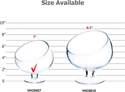 WGVI Clear Slant Cut Bowl Glass Vase, Glass Terrarium, Candy Dish, Glassware, Slant Open: 7". Height: 6" x 2.7". Base: 4" (1 Piece)