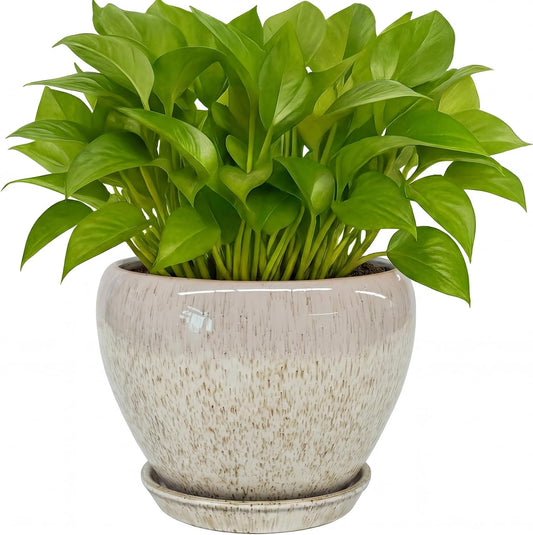 Deep Dream 6 Inch Plant Pots- Ceramic Planter Pot with Drainage Hole and Saucer, Round Flower Pot for Indoor Outdoor Succulent, Snake Plants and Cactus, Blue