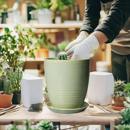 Ceramic Pots for Plants - 6 Inch Plant Pot with Drainage Hole and Saucer, Round Planters for Indoor Outdoor, Flower Pots, Modern Planter, Home Office Room Decor, Gifts for Plant Lovers, White