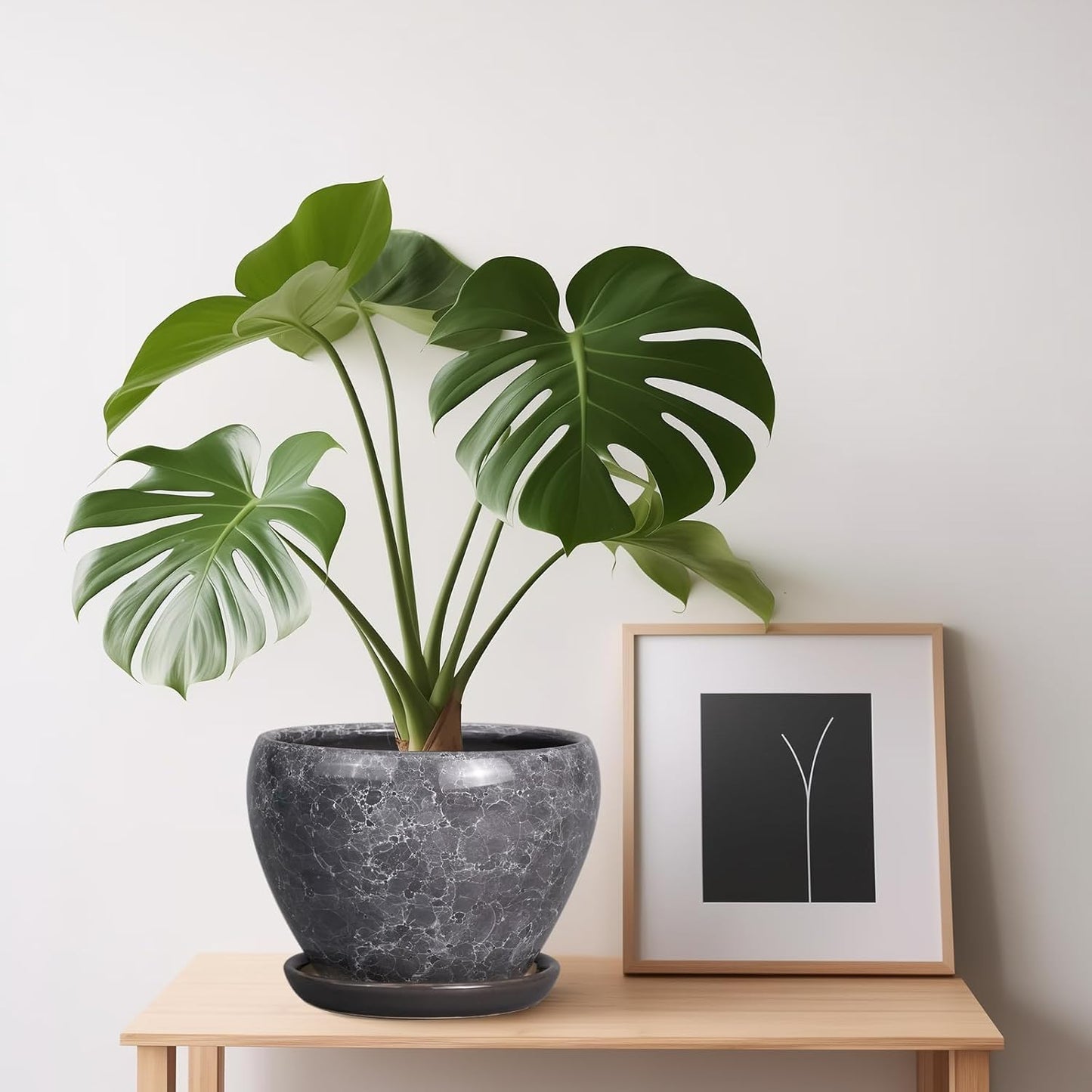 Ceramic Modern Glaze Succulent Planter Pot with Drainage Hole and Saucer 6 Inch Round Flower Plant Pot for Indoor Outdoor Herb Snake Plants