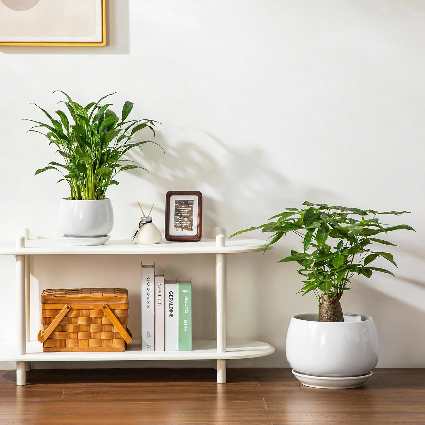 vancasso 3-Pack Ceramic Plant Pots, 3.7/4.8/6.2 Inch Indoor Planters with Saucers & Drainage Hole Planter pots for Indoor Plants and Flower, White