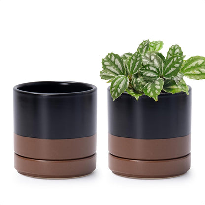 D'vine Dev Set of 2 Plants Pots, 6.5 Inch Ceramic Planter Pot for Plants with Drainage Hole and Saucer, White, 94-V-C-1