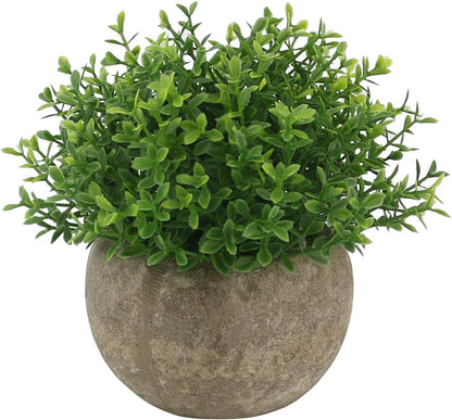 Ogrmar Mini Plastic Faux Plants in Pot/Small Topiary Shrubs Fake Greenery for Bathroom, House Decorations (Green Grass)