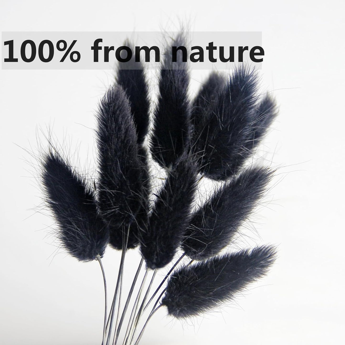 40" inch 10 Stems Pampas Grass Decor Tall, Pampas Grass Bouquet, Natural Dried Flowers for Wedding, Natural Home Decor, Wall Grass, Glam Decor