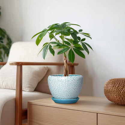 6 Inch Plant Pot - Ceramic Pots for Plants with Drainage Hole and Saucer, Round Succulent Planter Indoor Outdoor, Modern Flower Pot for Snake Plants, Home Decor, Gifts for Plant Lover, Blue
