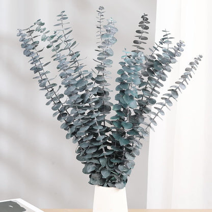 Tavkite 16 Pcs Dried Eucalyptus Stems, 17'' Natural Fresh Eucalyptus Leaves Branches Hanging for Shower, Preserved Real Plant Live Greenery for Home SPA Wall Bathroom Wedding Party Vase Decor