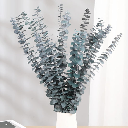Tavkite 16 Pcs Dried Eucalyptus Stems, 17'' Natural Fresh Eucalyptus Leaves Branches Hanging for Shower, Preserved Real Plant Live Greenery for Home SPA Wall Bathroom Wedding Party Vase Decor