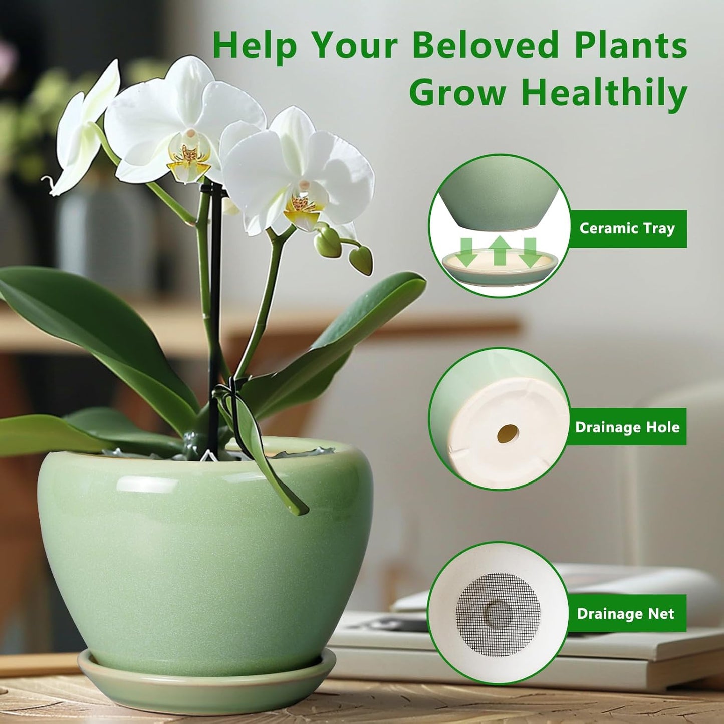 Ceramic Modern Glaze Succulent Planter Pot with Drainage Hole and Saucer 6 Inch Round Flower Plant Pot for Indoor Outdoor Herb Snake Plants