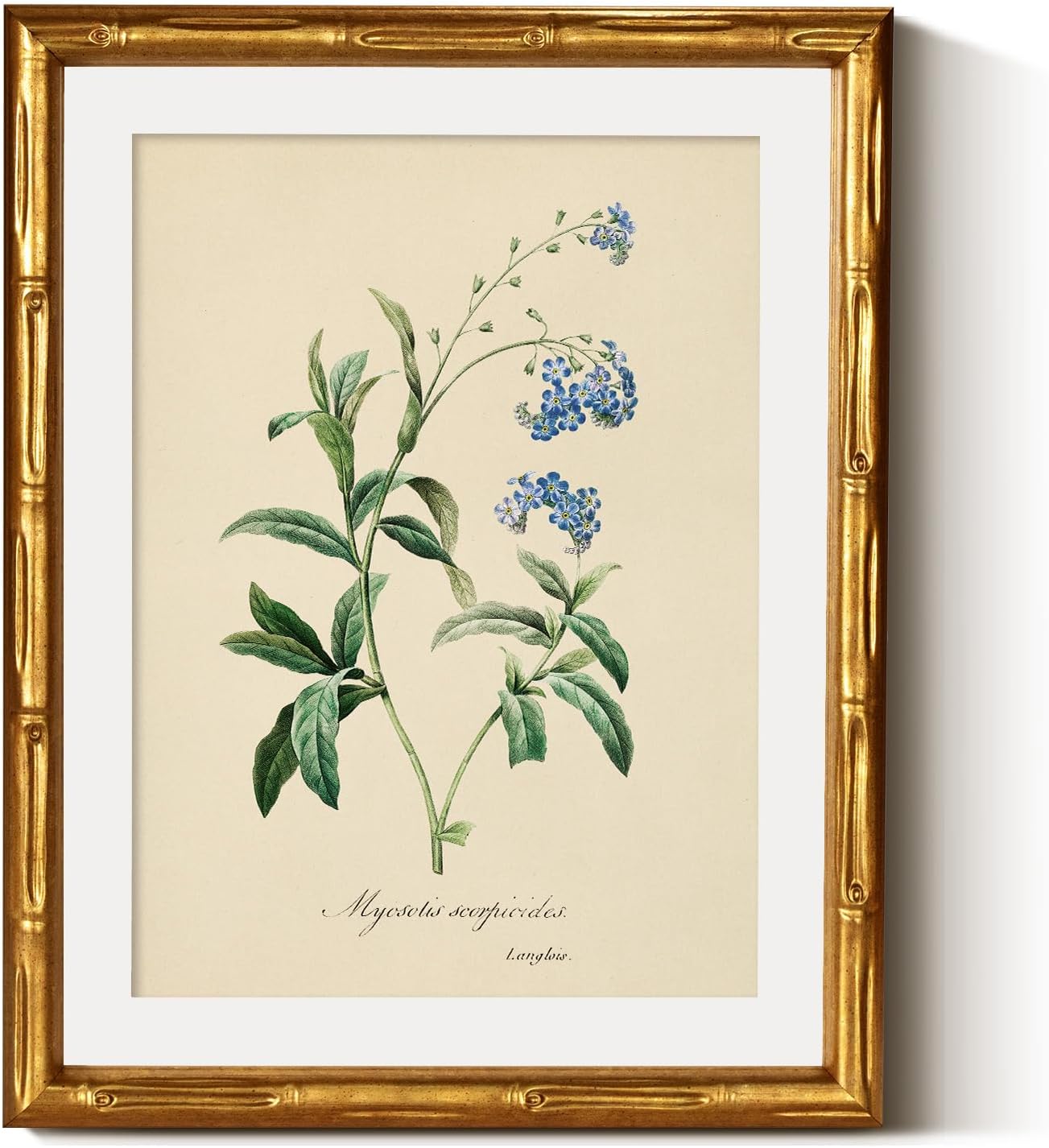 InSimSea Gold Bamboo Framed Canvas Wall Art, Retro Blue Hydrangea Botanical Prints, Antique Flowers Picture Frame with Mat, Victorian Home Wall Decor for Kitchen Living Room Bedroom, 11x14inch