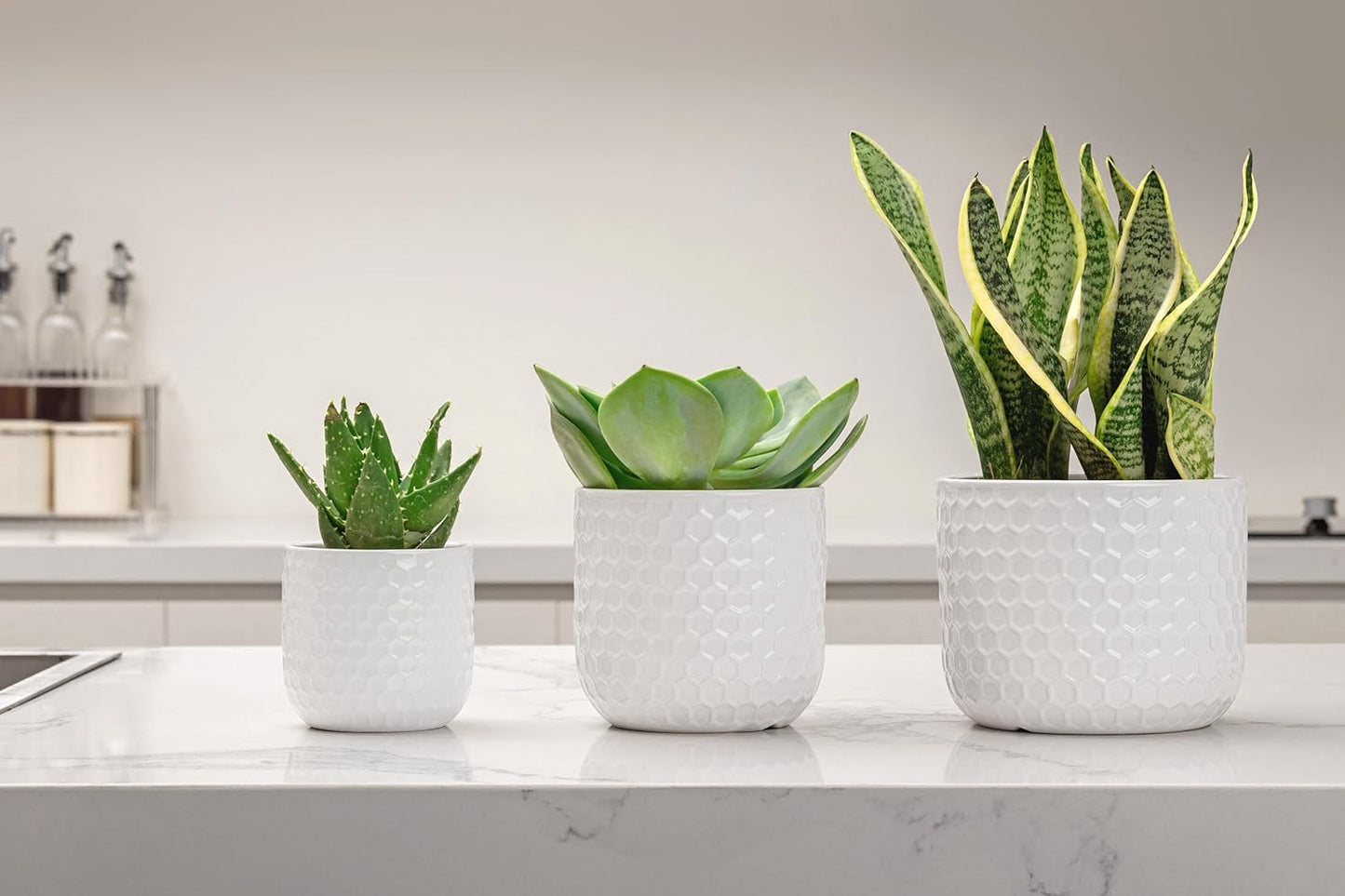 Docrin 3-Pack Ceramic Planters Set - 6.5"+5.3"+4" Dual-Tone Flower Pots with Drainage Holes, Modern Indoor Outdoor Planters for Succulents/Herbs/Large Plants, Home Office (Brownish Black & White)