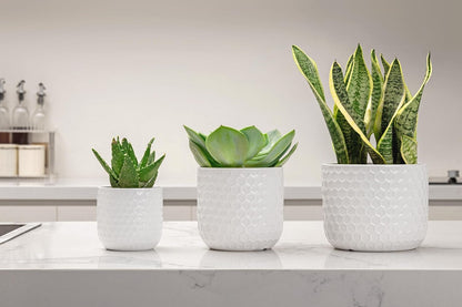 Docrin 3-Pack Ceramic Planters Set - 6.5"+5.3"+4" Dual-Tone Flower Pots with Drainage Holes, Modern Indoor Outdoor Planters for Succulents/Herbs/Large Plants, Home Office (Brownish Black & White)