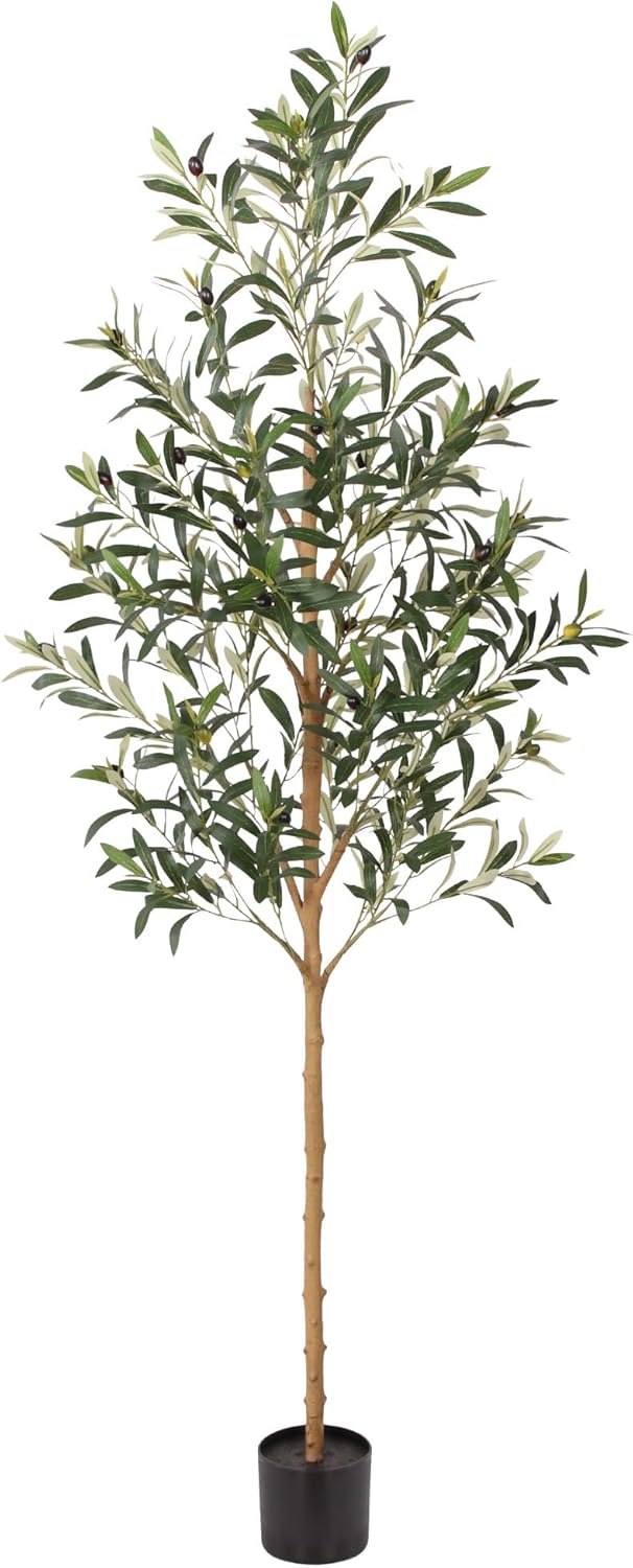 FLOWORLD 6FT Olive Trees Artificial Indoor, Tall Faux Olive Tree 6FT (72in) with Natural Wood Trunk & Realistic Olives, Stable Base, Pet Friendly Artificial Plant for Home Office, Living Room, Outdoor