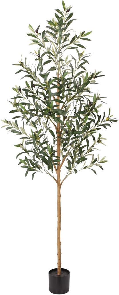 FLOWORLD 6FT Olive Trees Artificial Indoor, Tall Faux Olive Tree 6FT (72in) with Natural Wood Trunk & Realistic Olives, Stable Base, Pet Friendly Artificial Plant for Home Office, Living Room, Outdoor