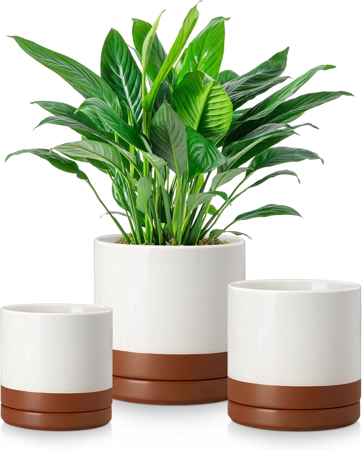 vancasso Ceramic Plant Pots, 3 Piece Planters for Indoor Plants, 4.25+5.25+6.25 Inch Flower Pots with Drainage, Plant Pots Indoor for Succulent, Pothos, Snake Plant and Money Tree, Etc (White)