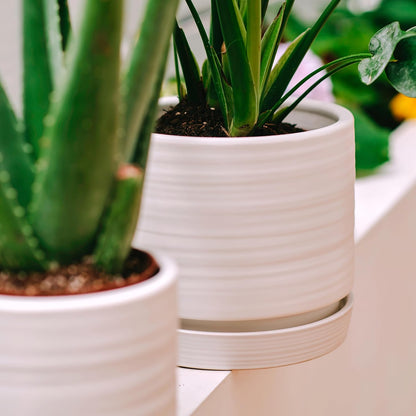 HERDUK 6 Inch Plant Pots, Ceramic Planter Pot with Drainage Hole & Saucer, Indoor/Outdoor Cylinder Round Planter Pot, Green & Beige