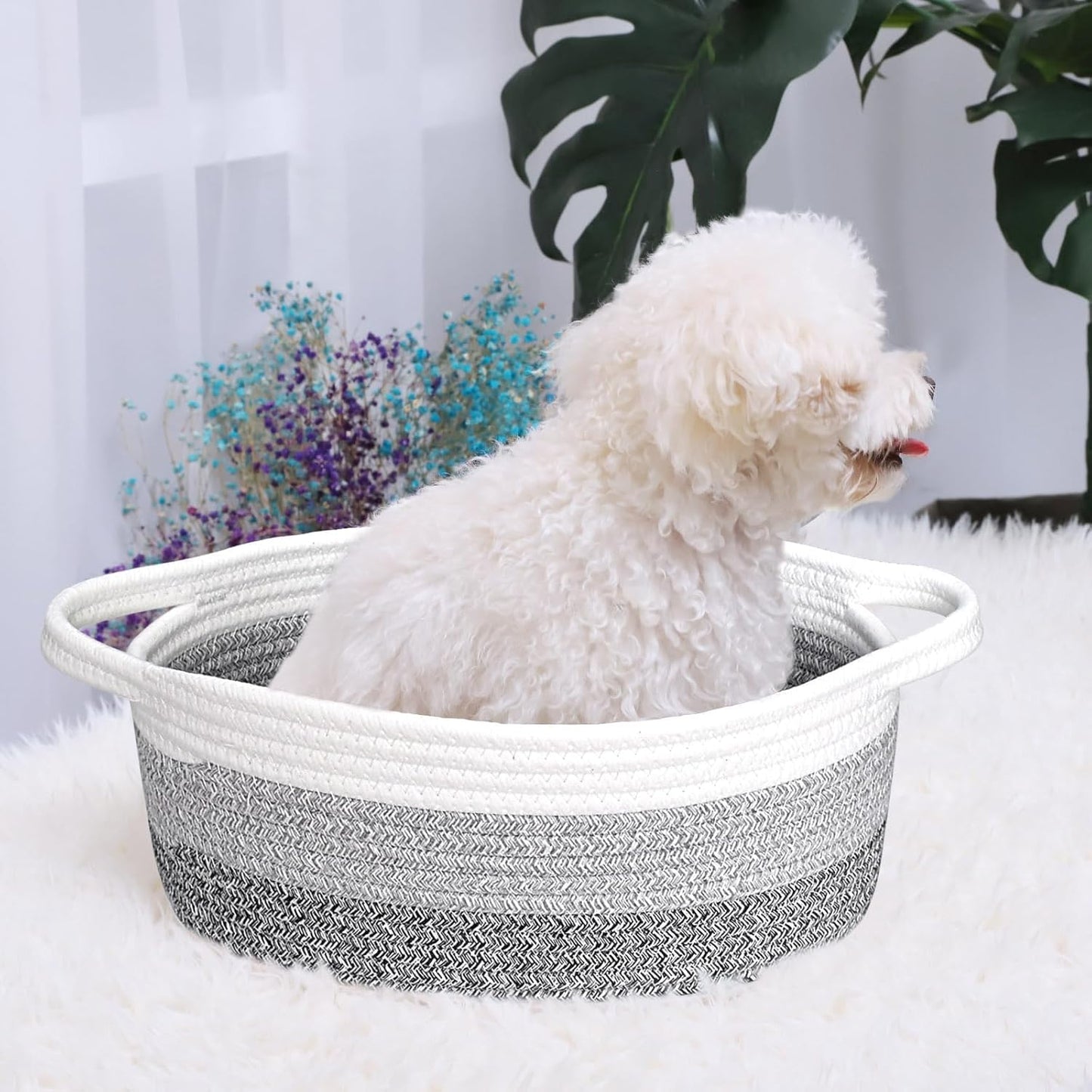 ABenkle Small Basket with Handles, Boho Decorative Rope Woven Dog Cat Toy Storage Bin Shelf Storage Organizer, Easter Christmas Gift Basket, 12"x8"x5", White