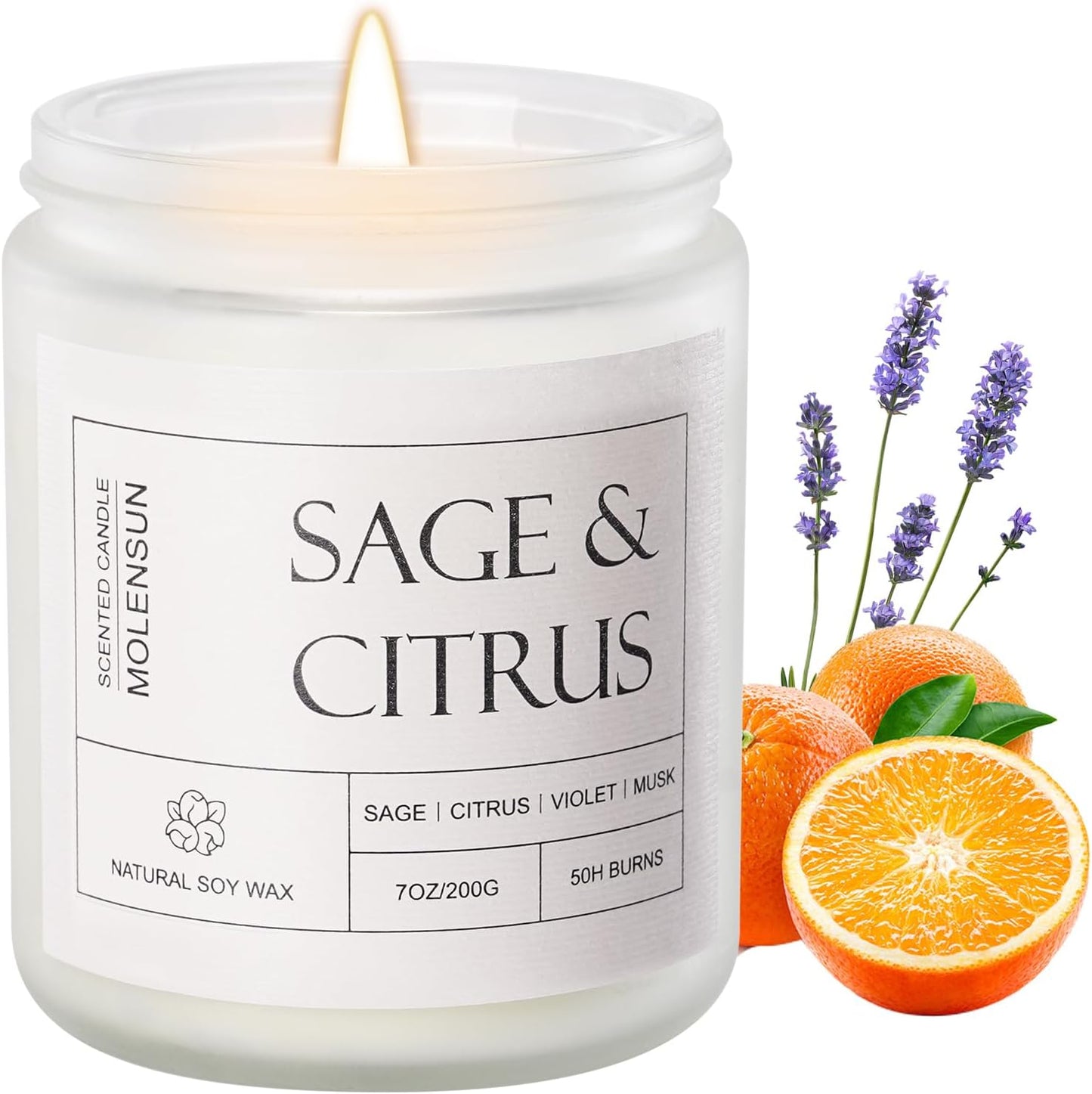 Molensun Lemon Eucalyptus Scented Candles, Aromatherapy Jar Candle, 7 oz Long Lasting Candles, Soy Wax Candle Gift for Women