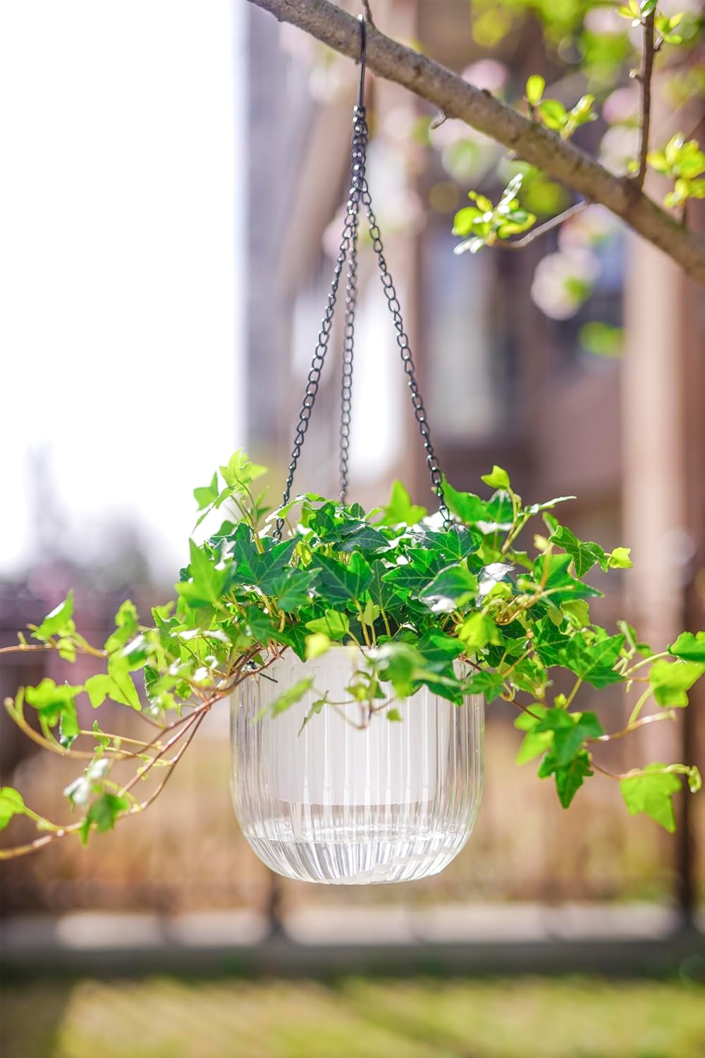 Melphoe 2 Pack Self Watering Hanging Planters Indoor Flower Pots, 6.5 Inch Outdoor Hanging Basket, Plant Hanger with 3Hooks Drainage Holes for Garden Home (Emerald)