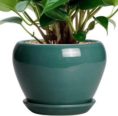 Ceramic Modern Glaze Succulent Planter Pot with Drainage Hole and Saucer 6 Inch Round Flower Plant Pot for Indoor Outdoor Herb Snake Plants