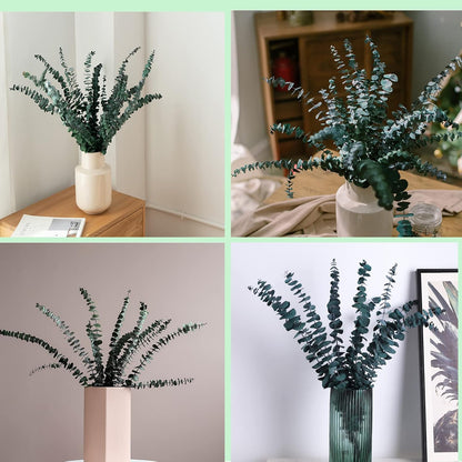 Eucalyptus for Shower 10 Pcs Hanging Dried Eucalyptu Stems 17" Real Eucalyptus Bundle 100% Made from Fresh Eucalyptu Wedding Decor Home Decor Farmhouse Room Decor DIY Artificial Plants Flowers