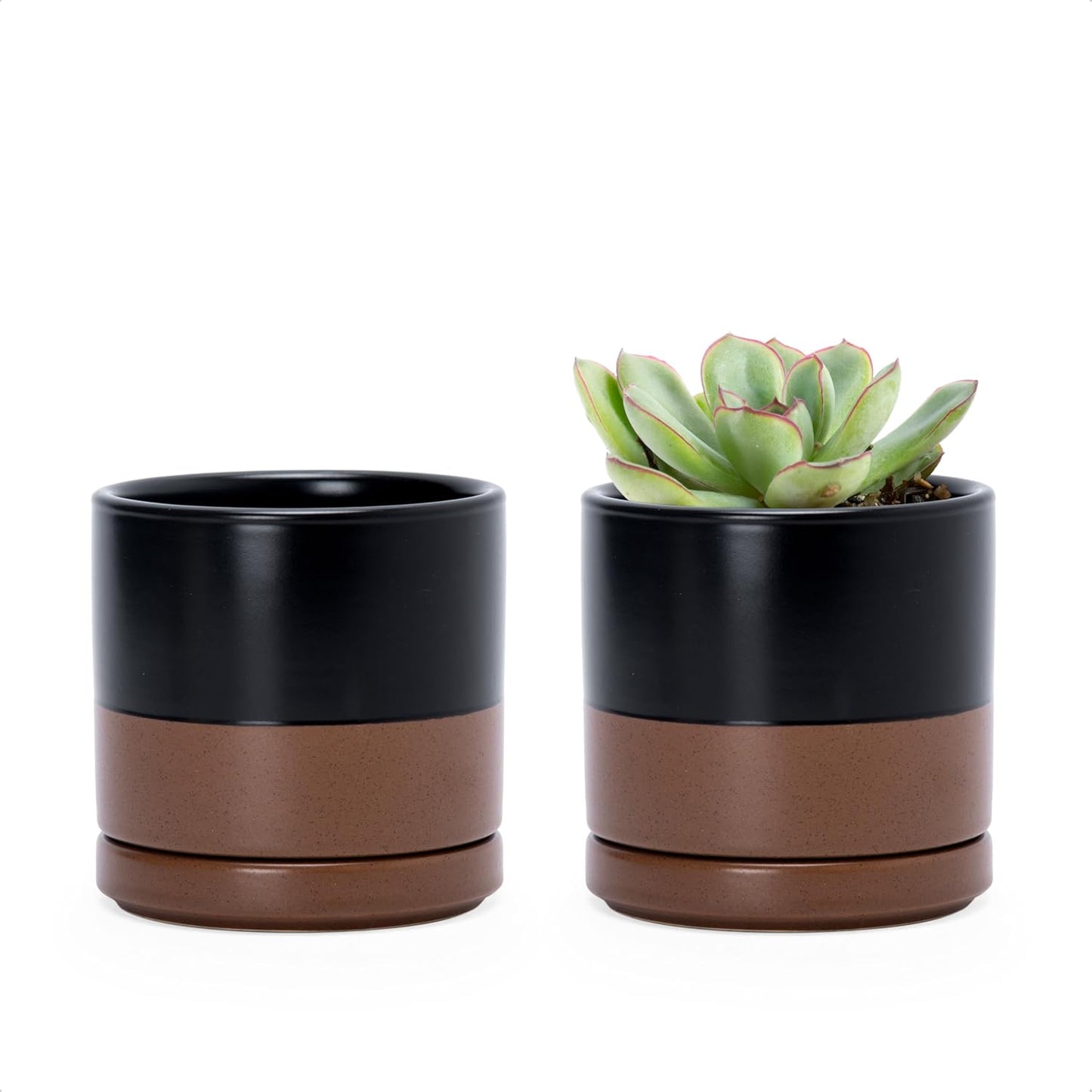 D'vine Dev Set of 2 Plants Pots, 6.5 Inch Ceramic Planter Pot for Plants with Drainage Hole and Saucer, White, 94-V-C-1