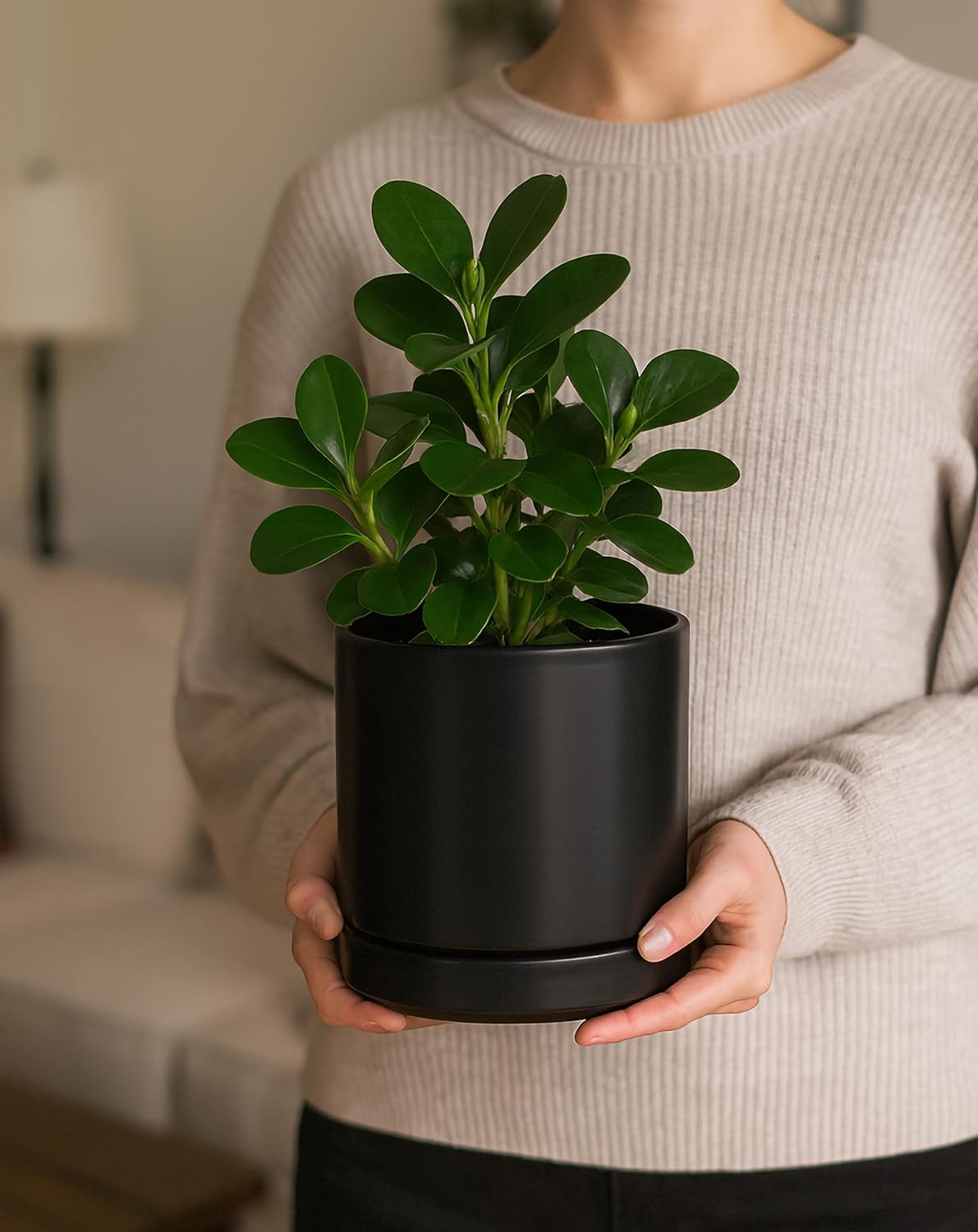 D'vine Dev 6.5 Inch Ceramic Planter Pot with Drainage Hole and Saucer, Indoor Cylinder Round Planter Pot, Olive, 94-O-C-J